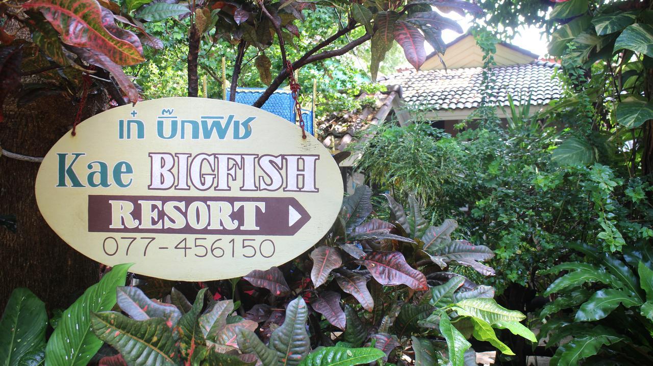 Big Fish Resort タオ島 エクステリア 写真
